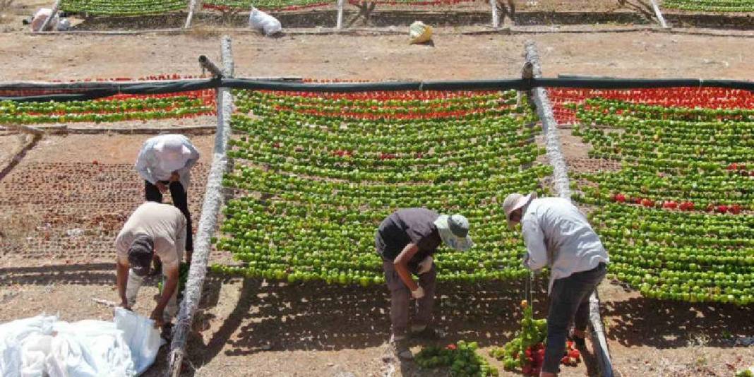 Sezon açıldı eşsiz görüntüler ortaya çıktı! Gaziantep’te lezzetin görsel şöleni: Dron ile görüntülendi… 3